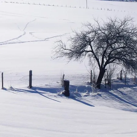 Apartment In Sauerland Nahe Winterberg Skifahren