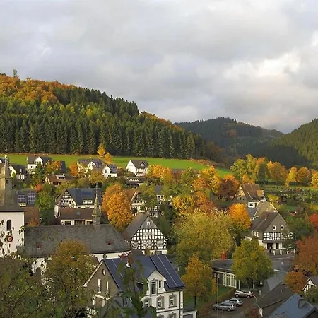 In Sauerland Nahe Winterberg Skifahren Apartment *