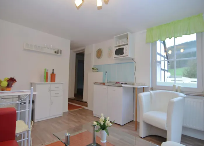 In Sauerland Nahe Winterberg Skifahren *