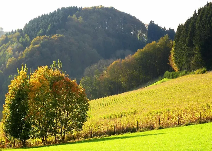 Appartement In Sauerland Nahe Winterberg Skifahren